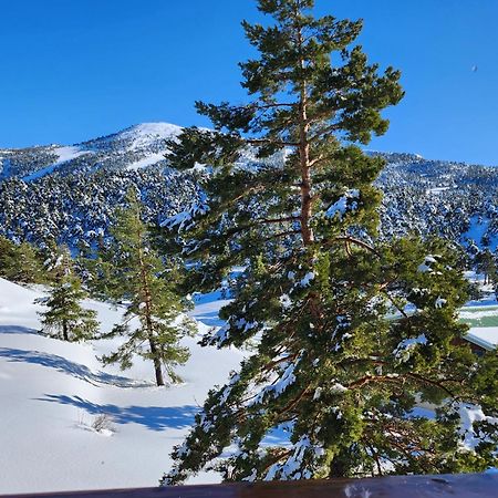 شقة Greolieres Les Neiges المظهر الخارجي الصورة