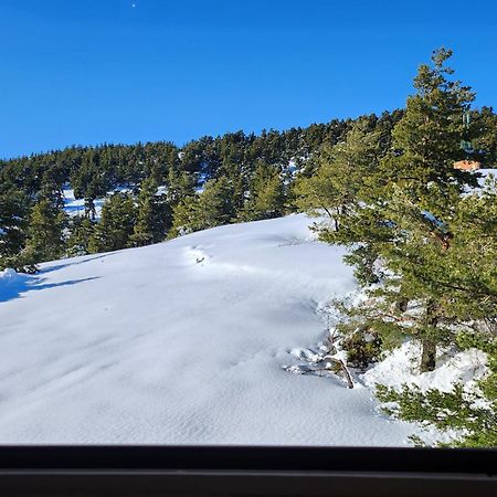 شقة Greolieres Les Neiges المظهر الخارجي الصورة