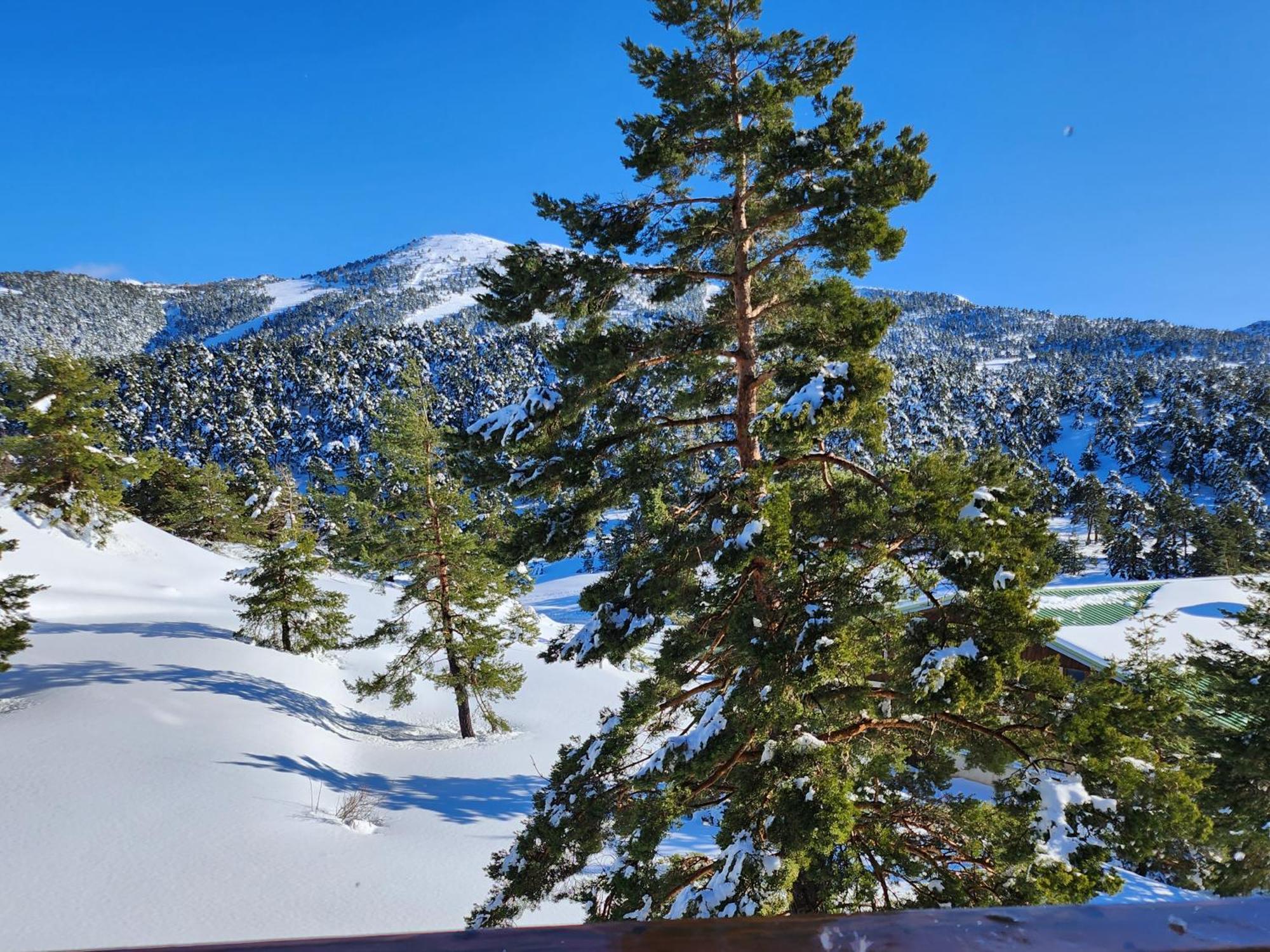 شقة Greolieres Les Neiges المظهر الخارجي الصورة