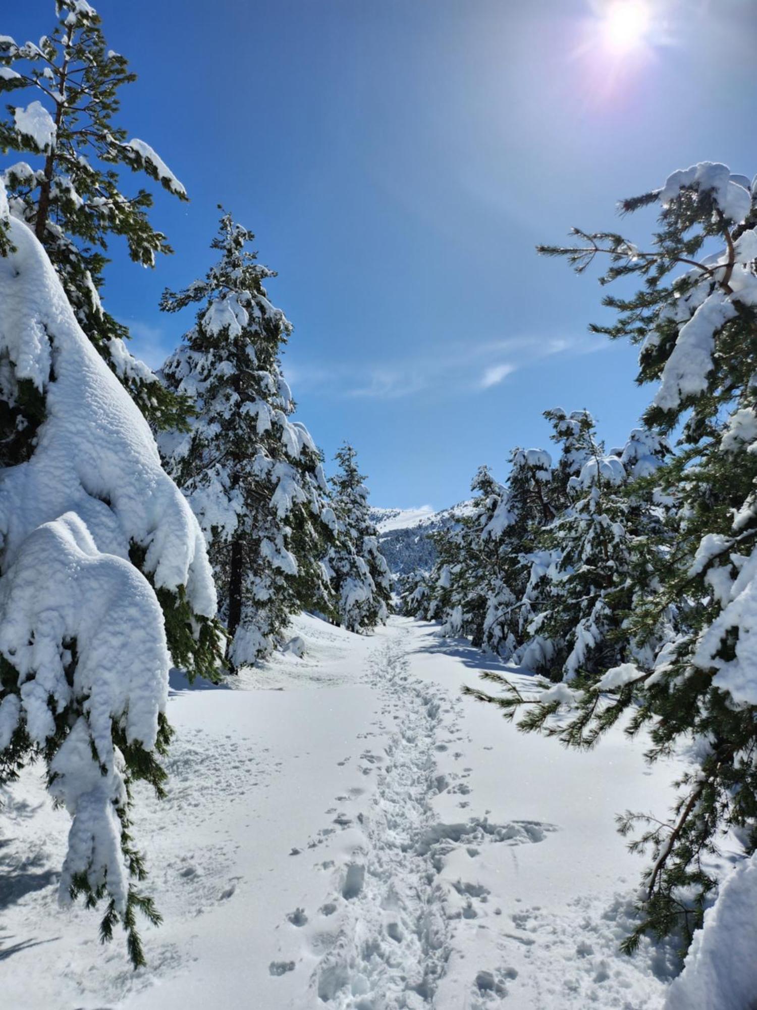 شقة Greolieres Les Neiges المظهر الخارجي الصورة